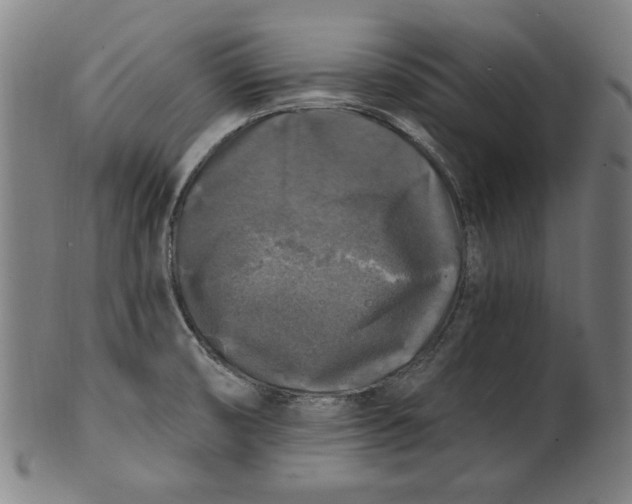 X0000100841474200807111139