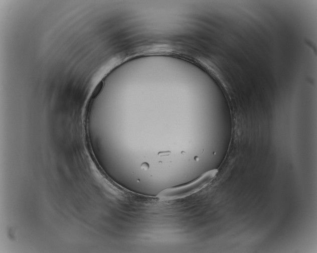 X0000100841475200807111139