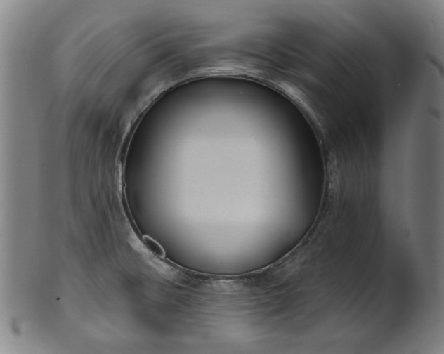 X0000100841476200807111139