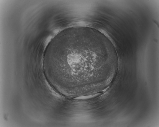 X0000100841477200807111139