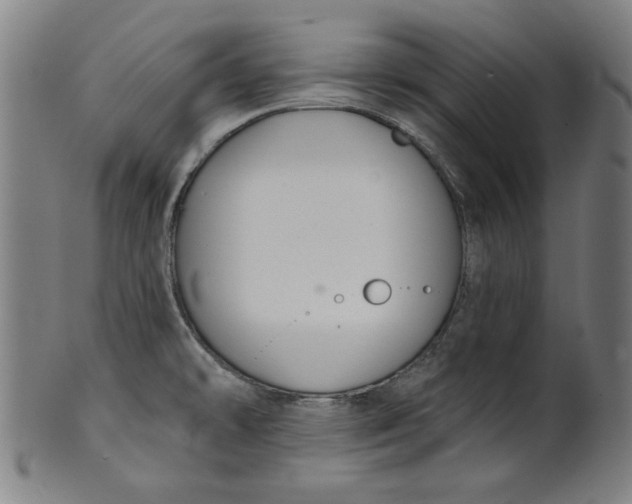 X0000100841478200807111139