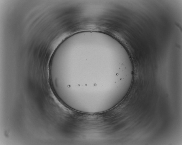 X0000100841479200807111139