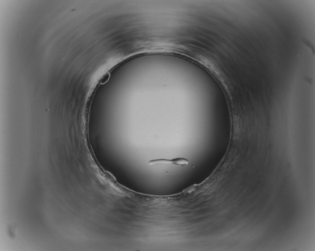 X0000100841480200807111139