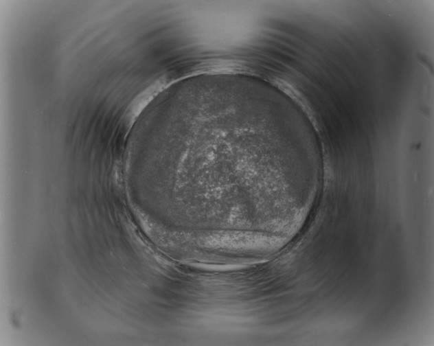 X0000100841481200807111139