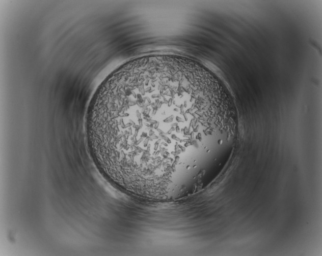 X0000100841482200807111139