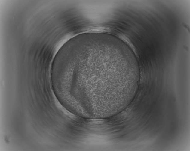 X0000100841483200807111139