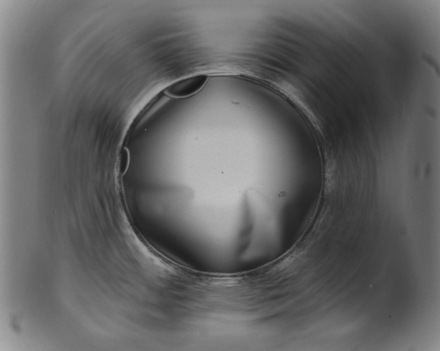 X0000100841484200807111139