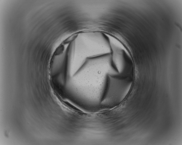 X0000100841485200807111139