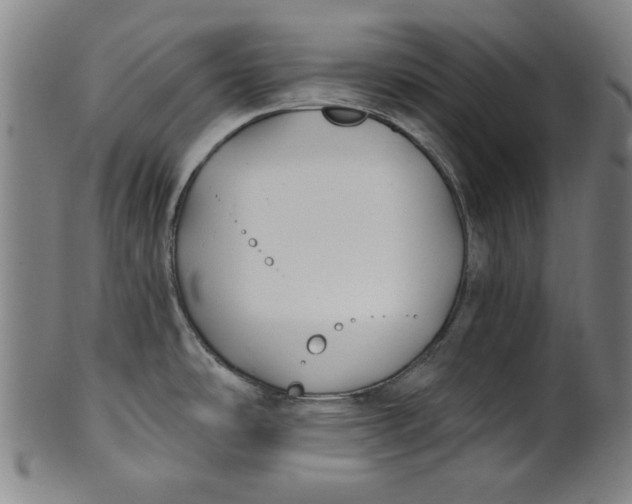 X0000100841486200807111139