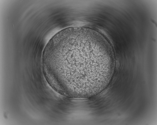 X0000100841487200807111139