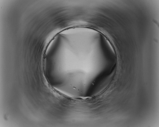 X0000100841488200807111139