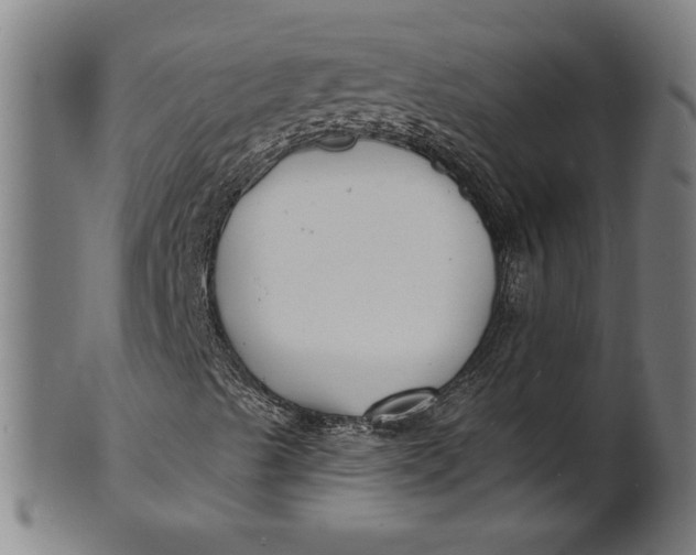 X0000100841489200807111138