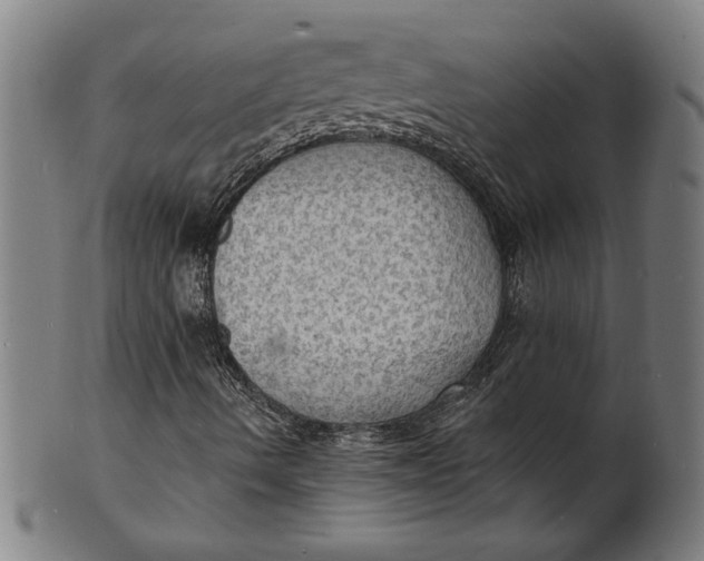 X0000100841490200807111138