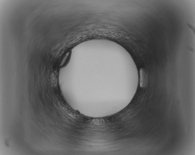 X0000100841491200807111138