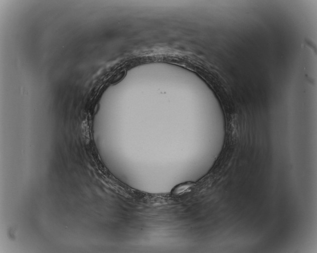 X0000100841493200807111138