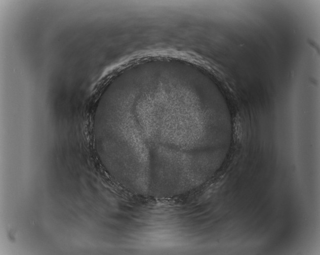 X0000100841494200807111138