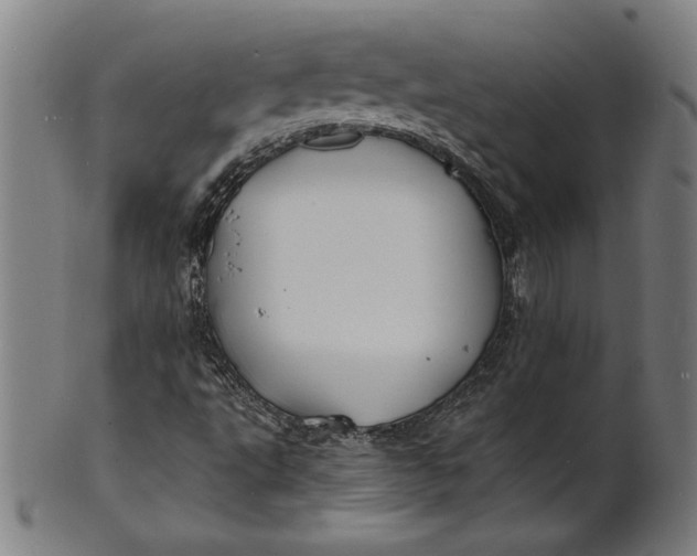 X0000100841495200807111138