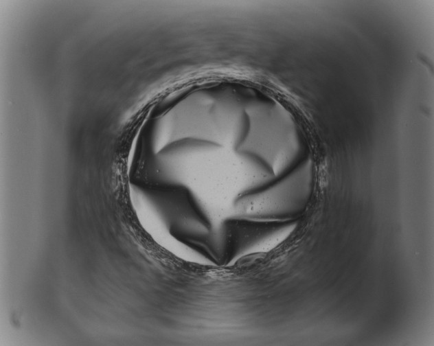 X0000100841496200807111138