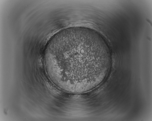 X0000100841497200807111138