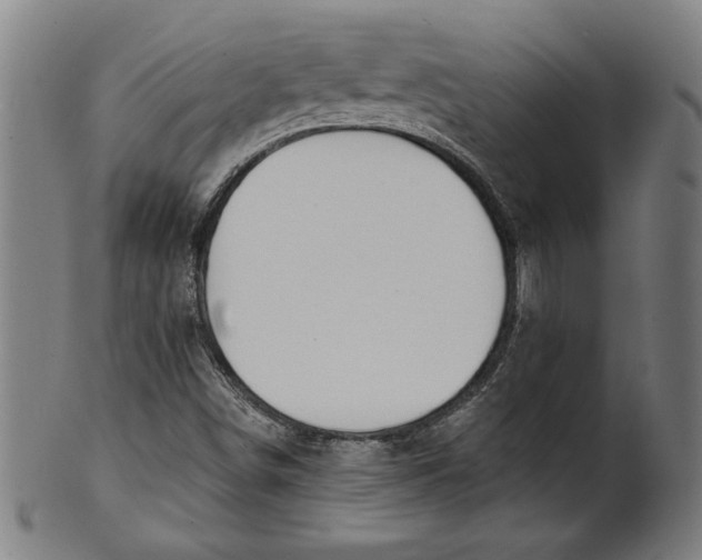 X0000100841498200807111138