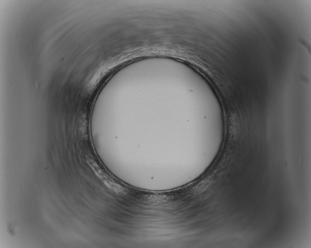 X0000100841499200807111138