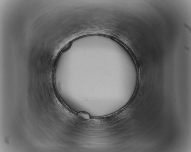 X0000100841500200807111138