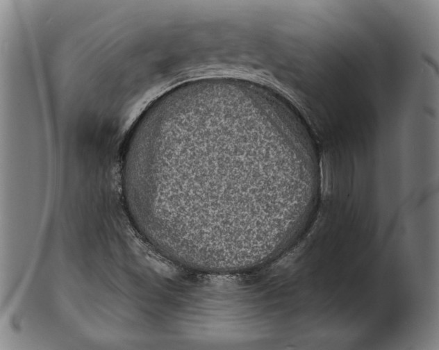 X0000100841501200807111138