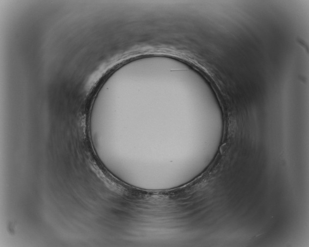 X0000100841503200807111138