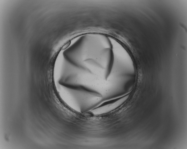 X0000100841504200807111138