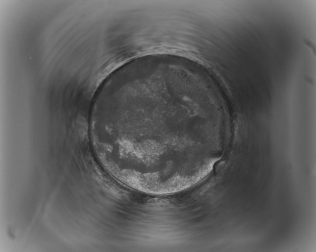 X0000100841505200807111138