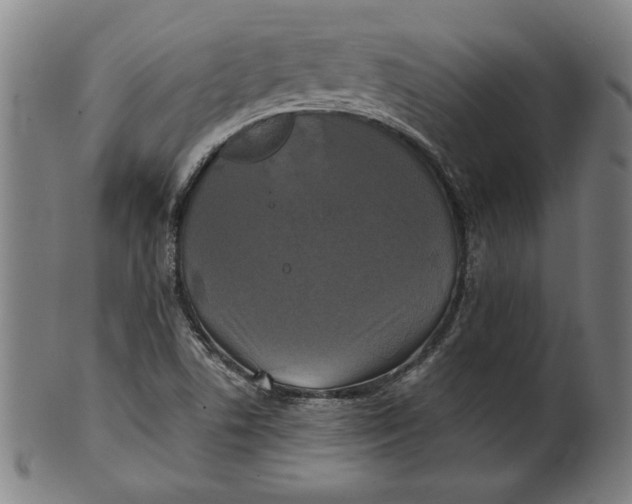 X0000100841506200807111138