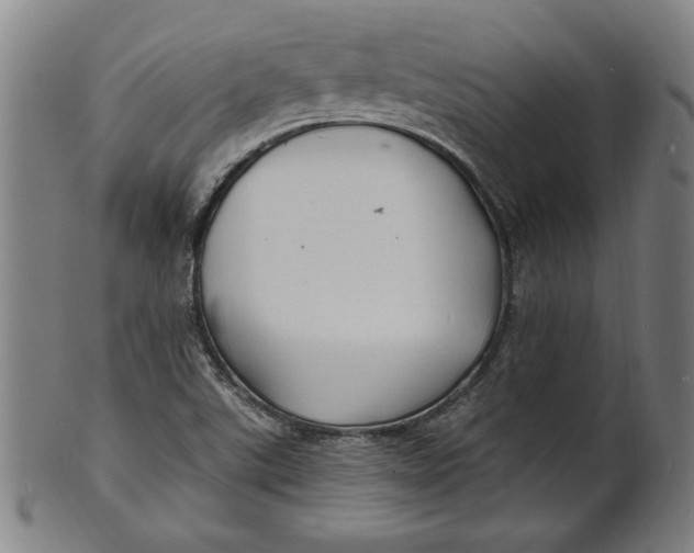 X0000100841507200807111138