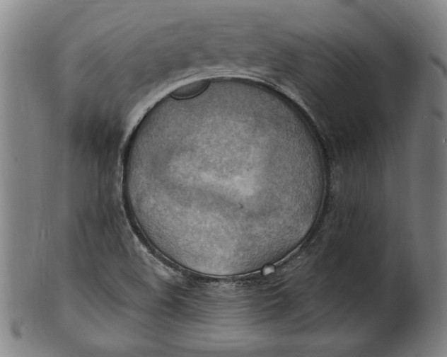 X0000100841508200807111138