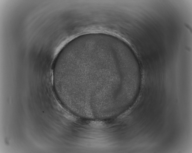 X0000100841509200807111138