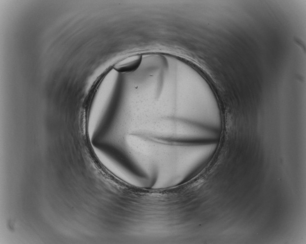 X0000100841510200807111138