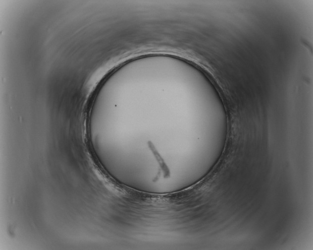 X0000100841511200807111138