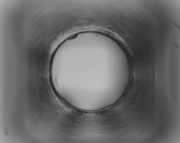 X0000100841512200807111138