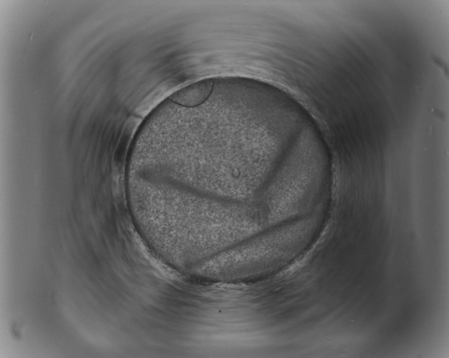 X0000100841513200807111138