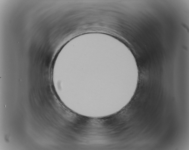 X0000100841514200807111138