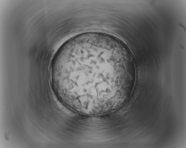 X0000100841515200807111138