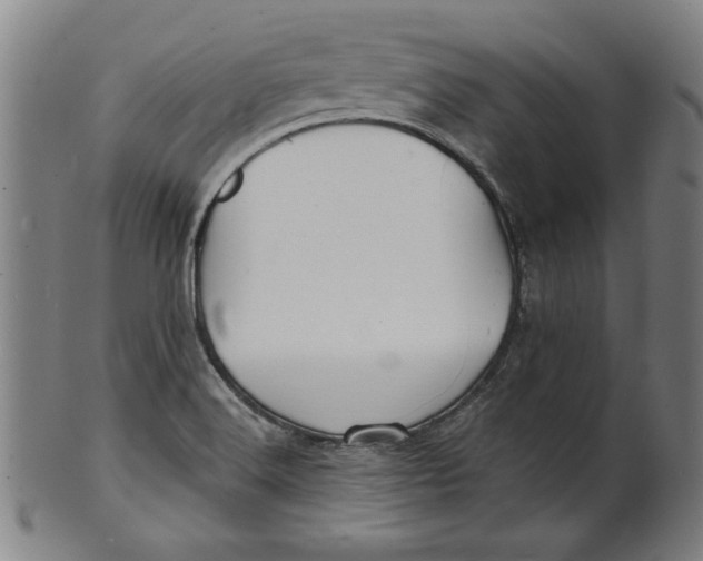 X0000100841516200807111138