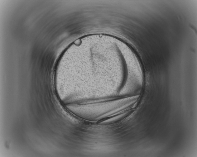 X0000100841517200807111138