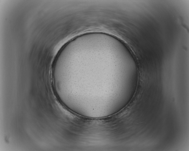 X0000100841519200807111139