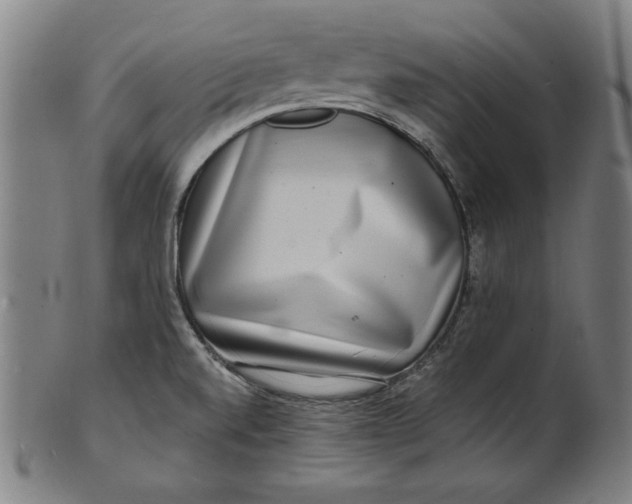 X0000100841520200807111139