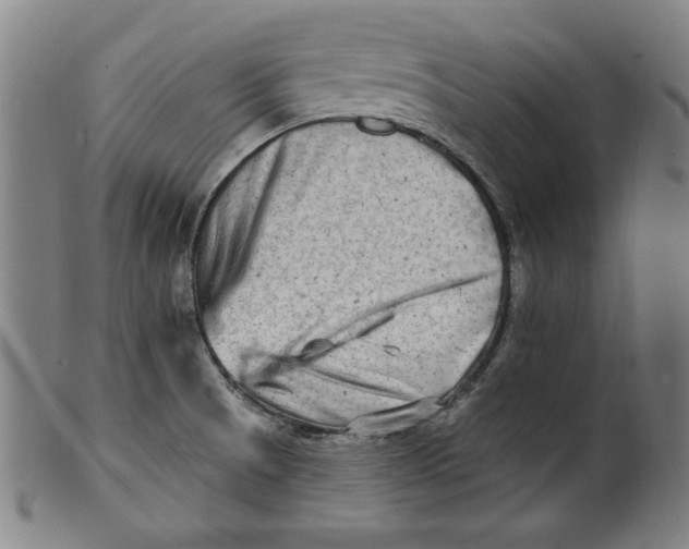 X0000100841521200807111139