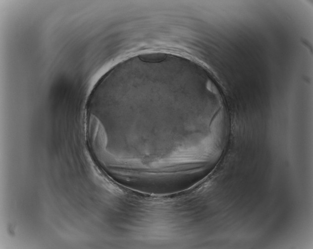 X0000100841522200807111139