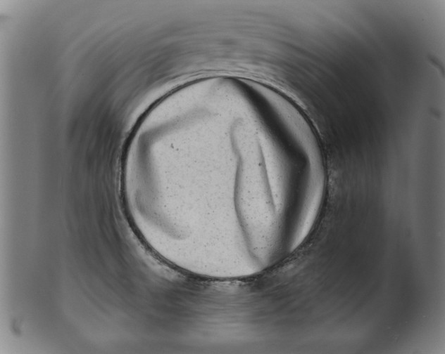 X0000100841523200807111139