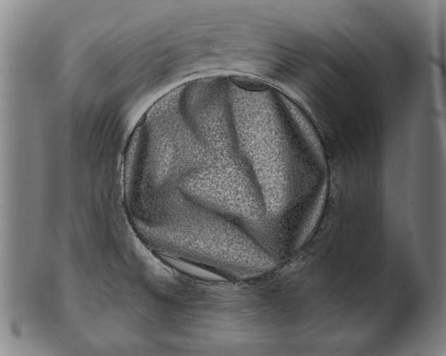 X0000100841524200807111139