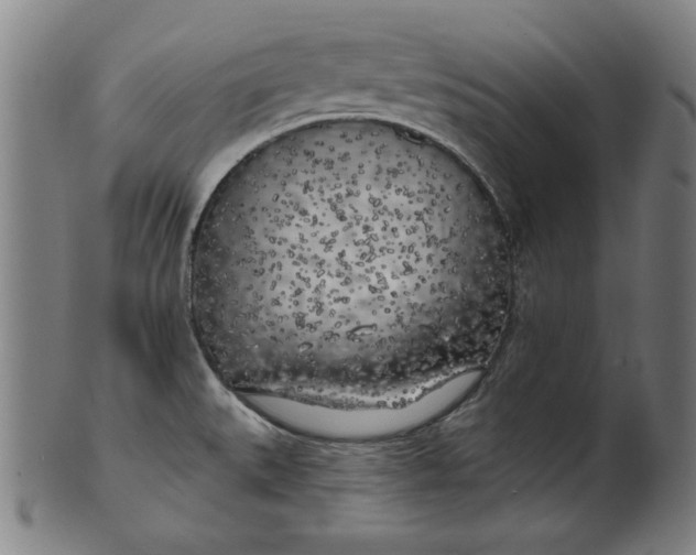 X0000100841527200807111139