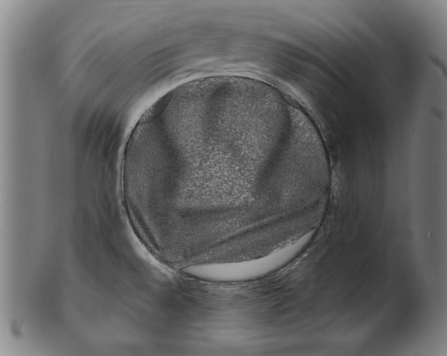 X0000100841528200807111139